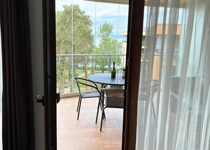 Silver Gull * Siófok